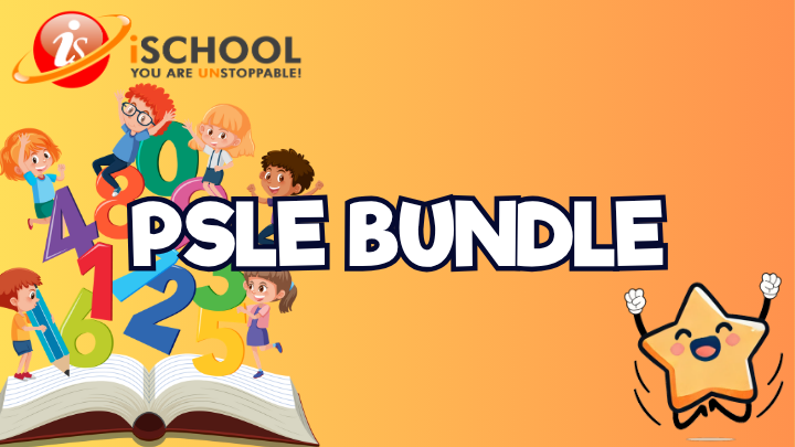 PSLE Bundle
